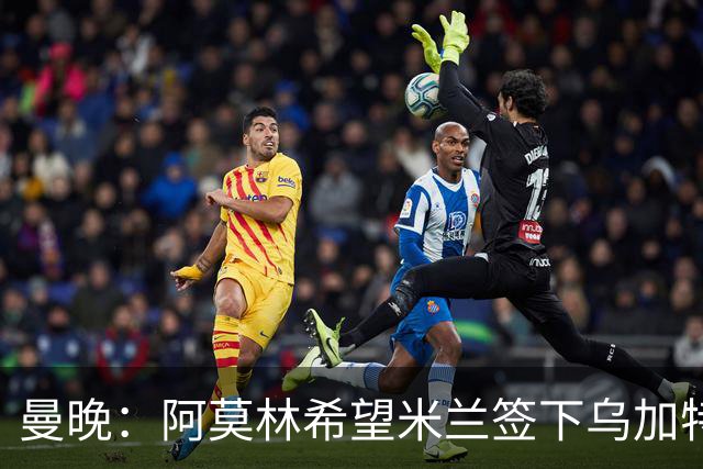 曼晚：阿莫林希望米兰签下乌加特，曼联要价约3000万英镑